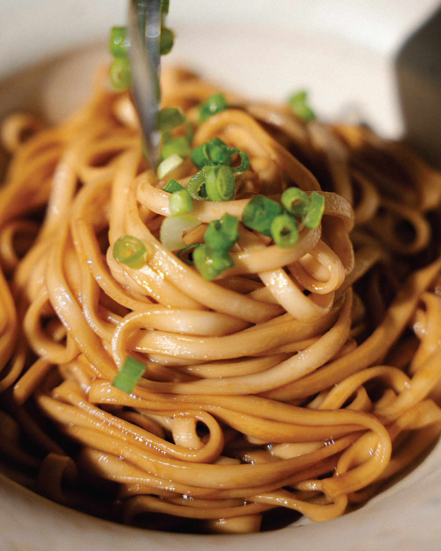 Soy Scallion Oil Oat Noodles